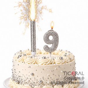SET BENGALA Y VELA NUMERAL NUMERO 9 CON GIBRE PLATA